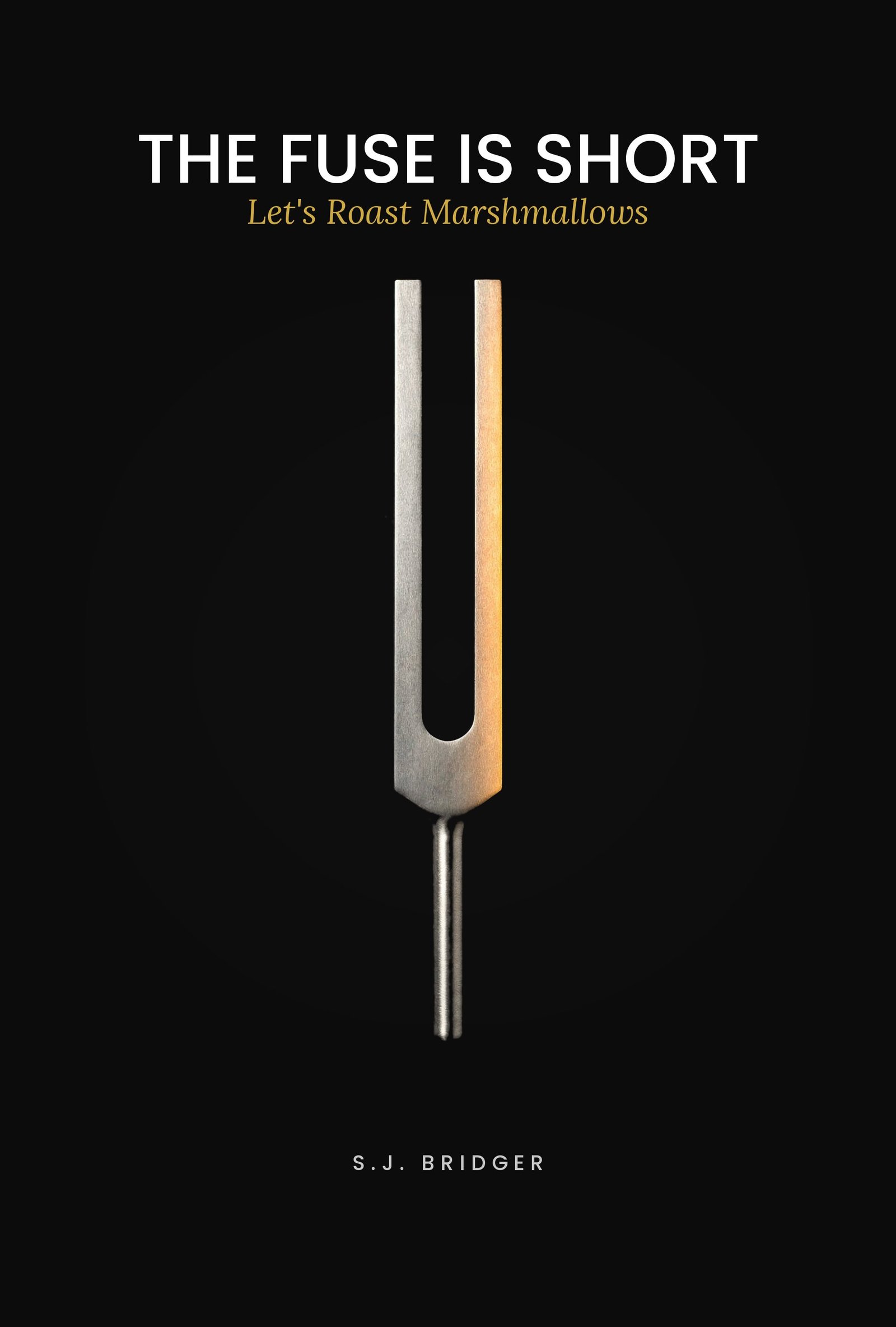 The Fuse is Short: Let's Roast Marshmallows by S.J. Bridger — book cover
